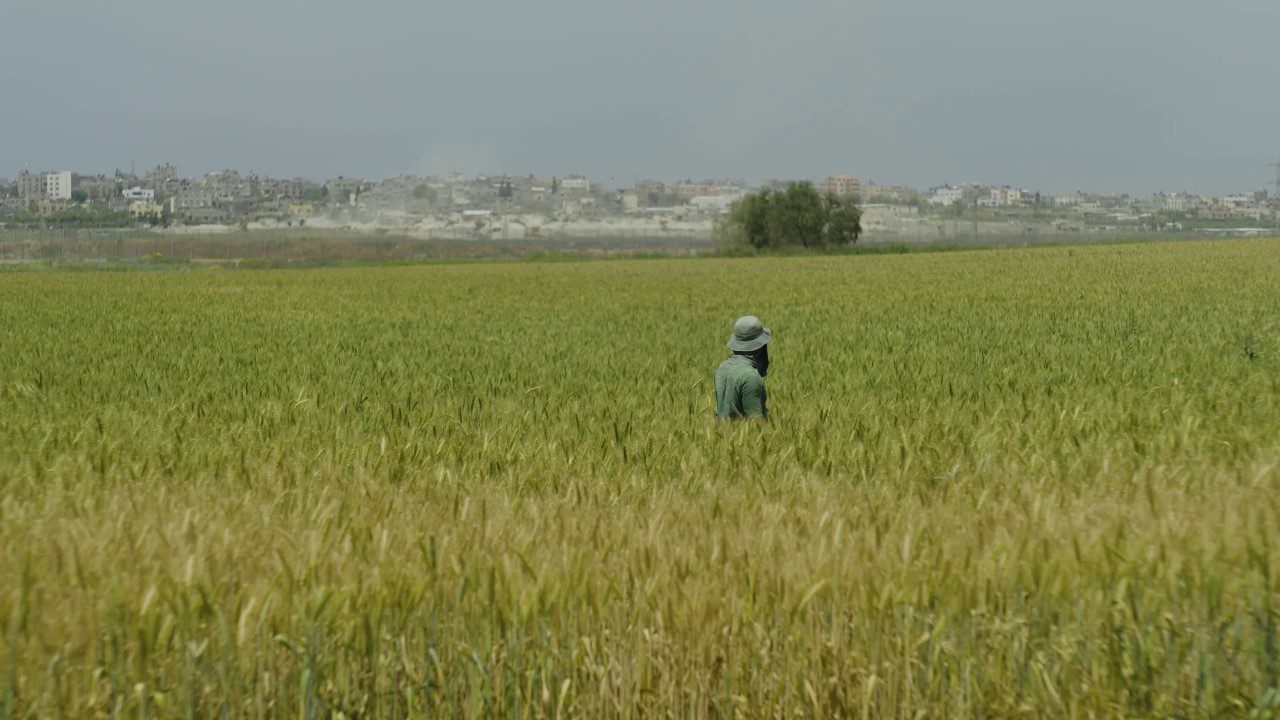 יונתן עומר מזרחי, ״פרויקט העוטף קוד נחש״. צילומים: מ״ל