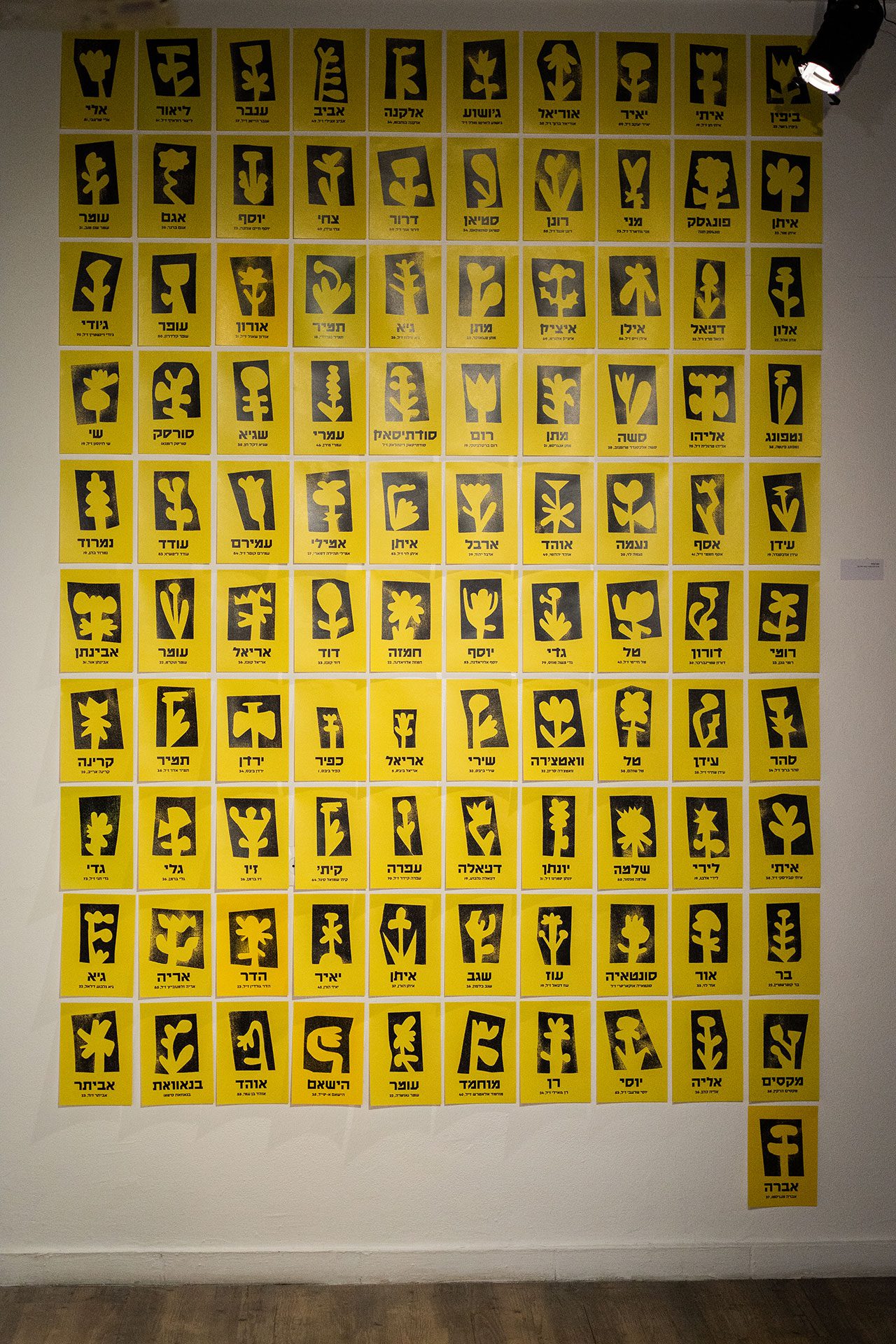 נעם וקסלר, פרח לכל חטוף