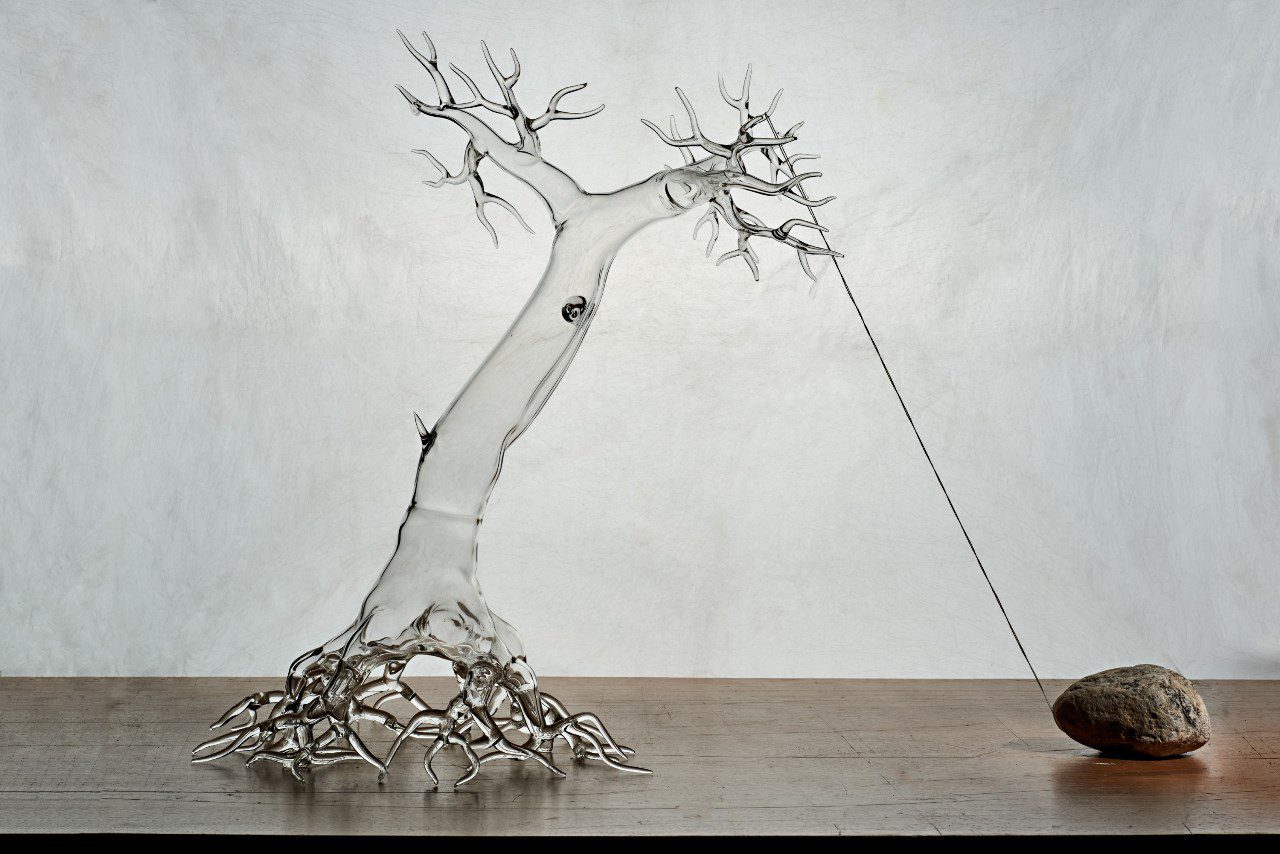 סימונה קרסטני. צילום: מידד סוחובולסקי