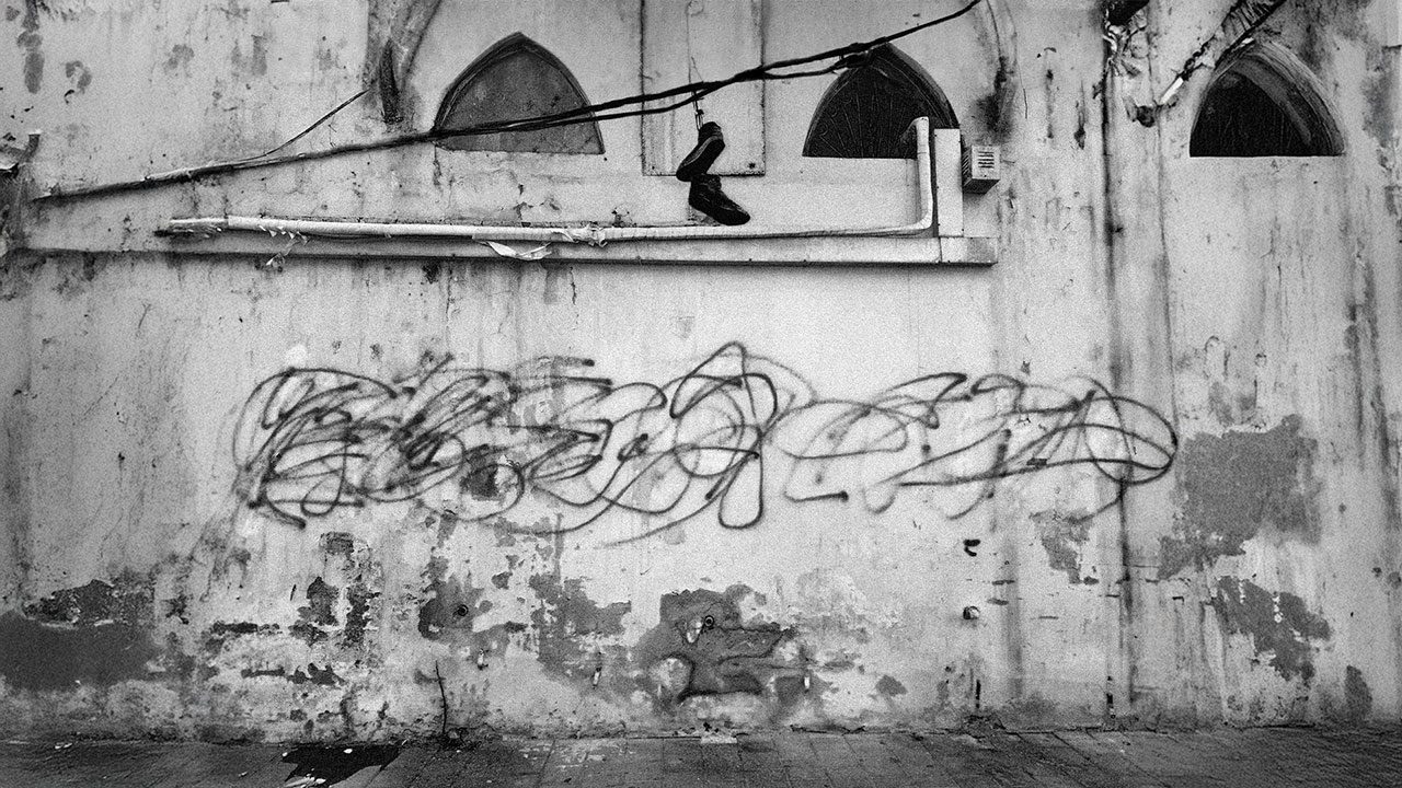 צילום: דיאנה זריק