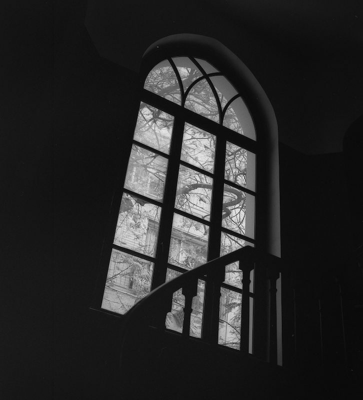 דניאל צ׳צ׳יק בבית ביאליק. צילומים: מ״ל