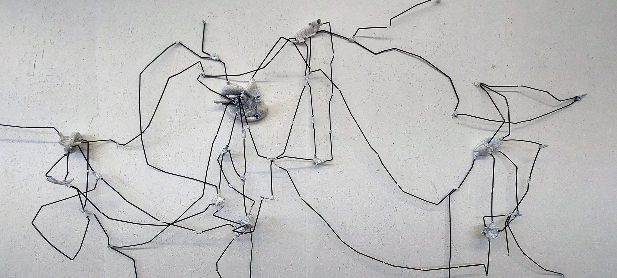 אפרת אייל. ציום: מ"ל