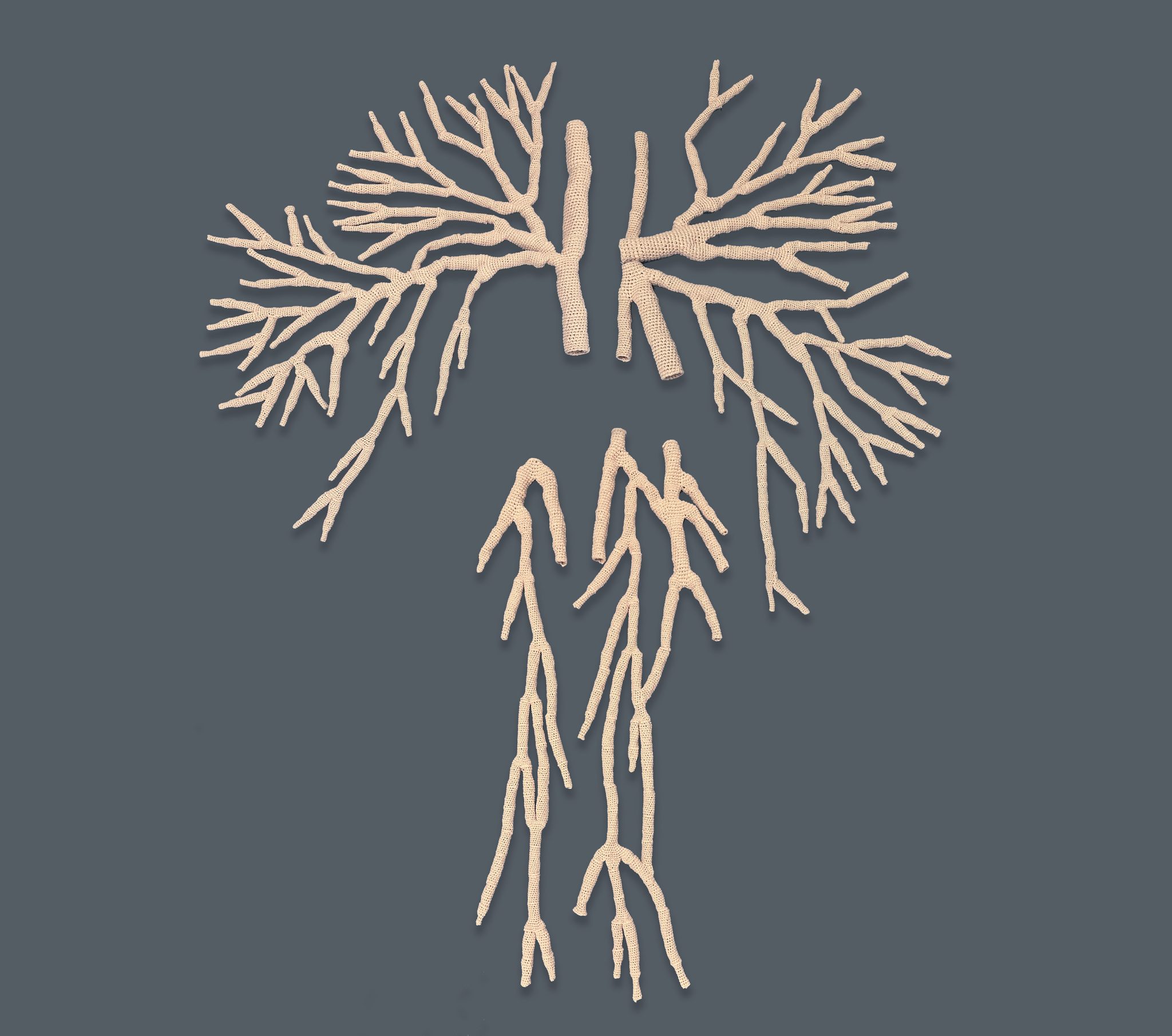 תמר ניקס. צילום: מ"ל