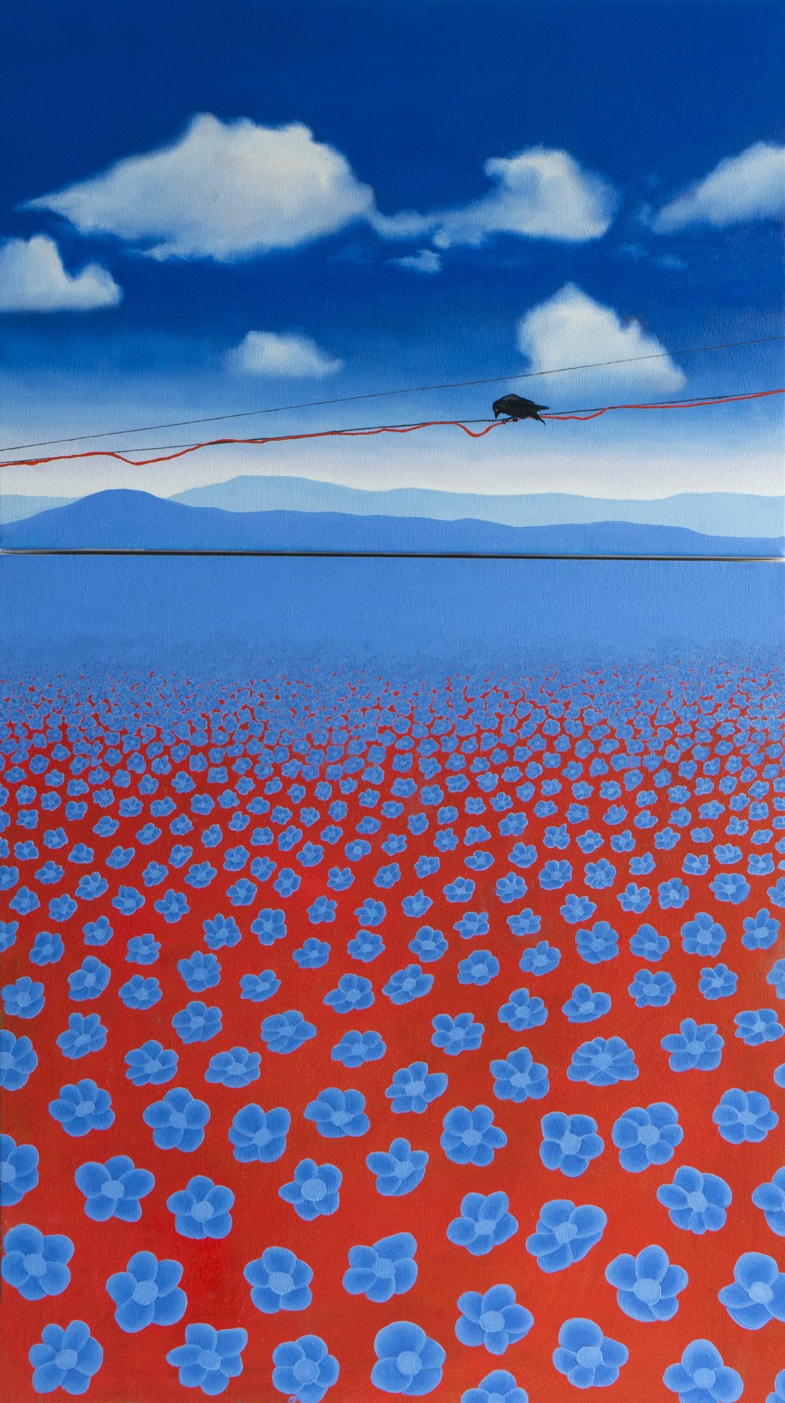 שרה ארסניוק