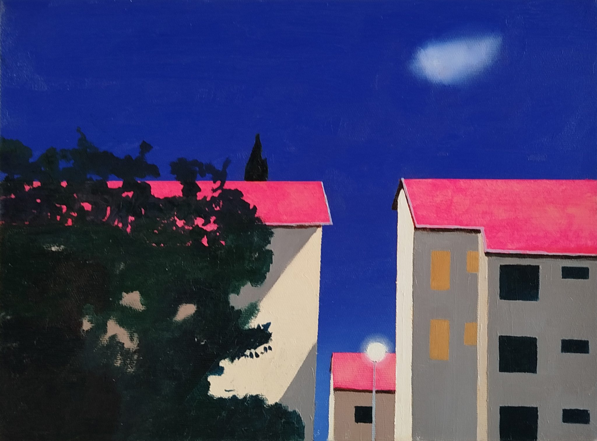 אלישבע ארסניוק. צילומים: מ״ל