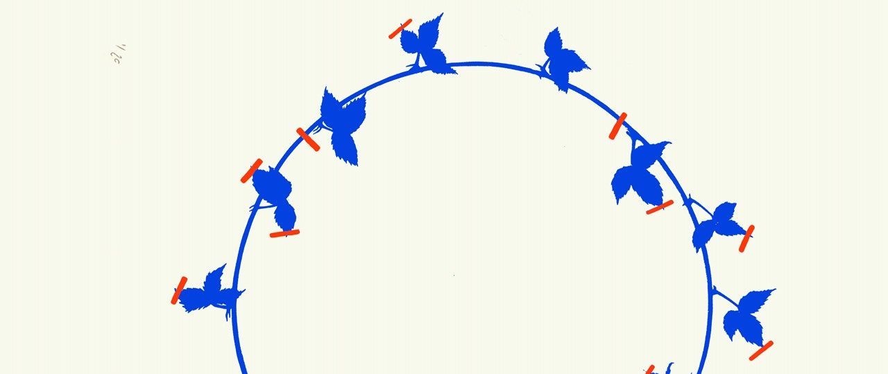 חגי פרגו, הדפס רשת בתערוכה דרך ארץ במשק שגיא