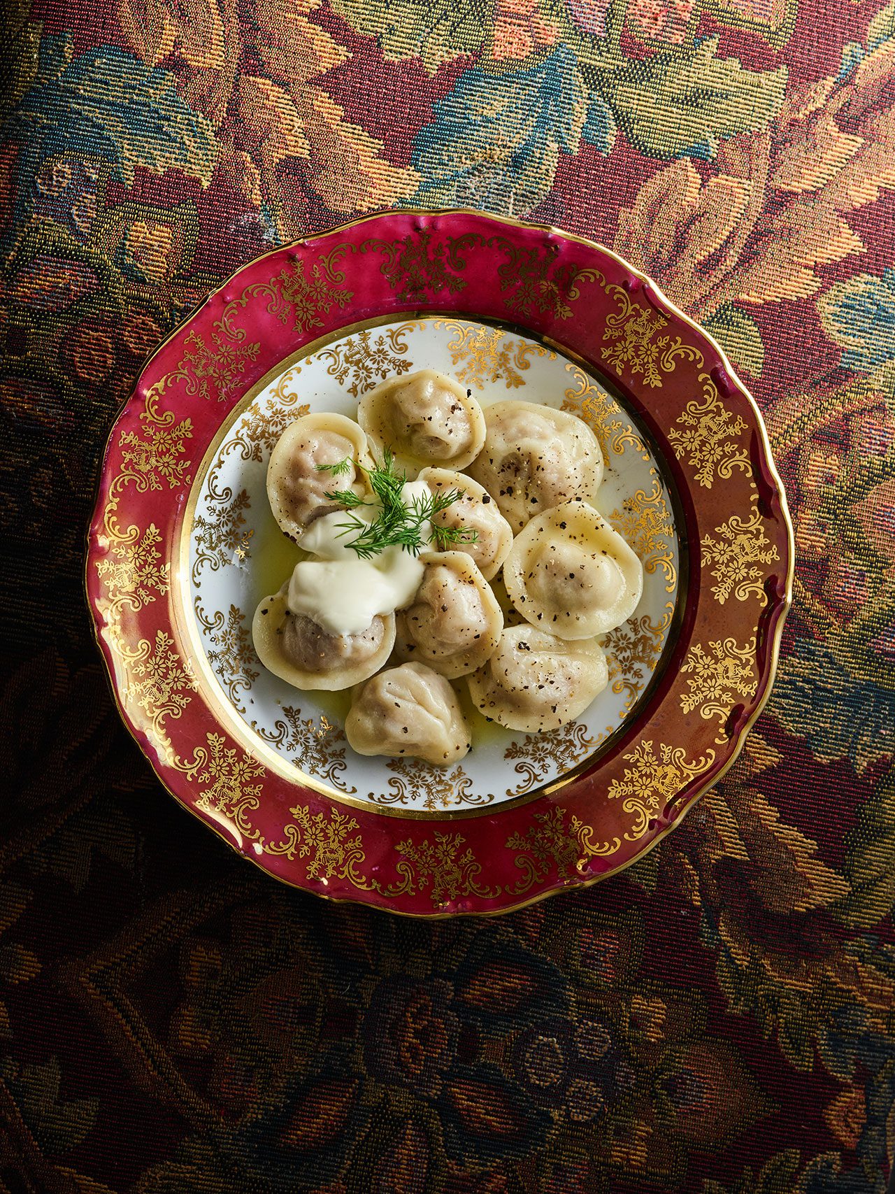 פילמניה בנילוס. צילומים: דן פרץ