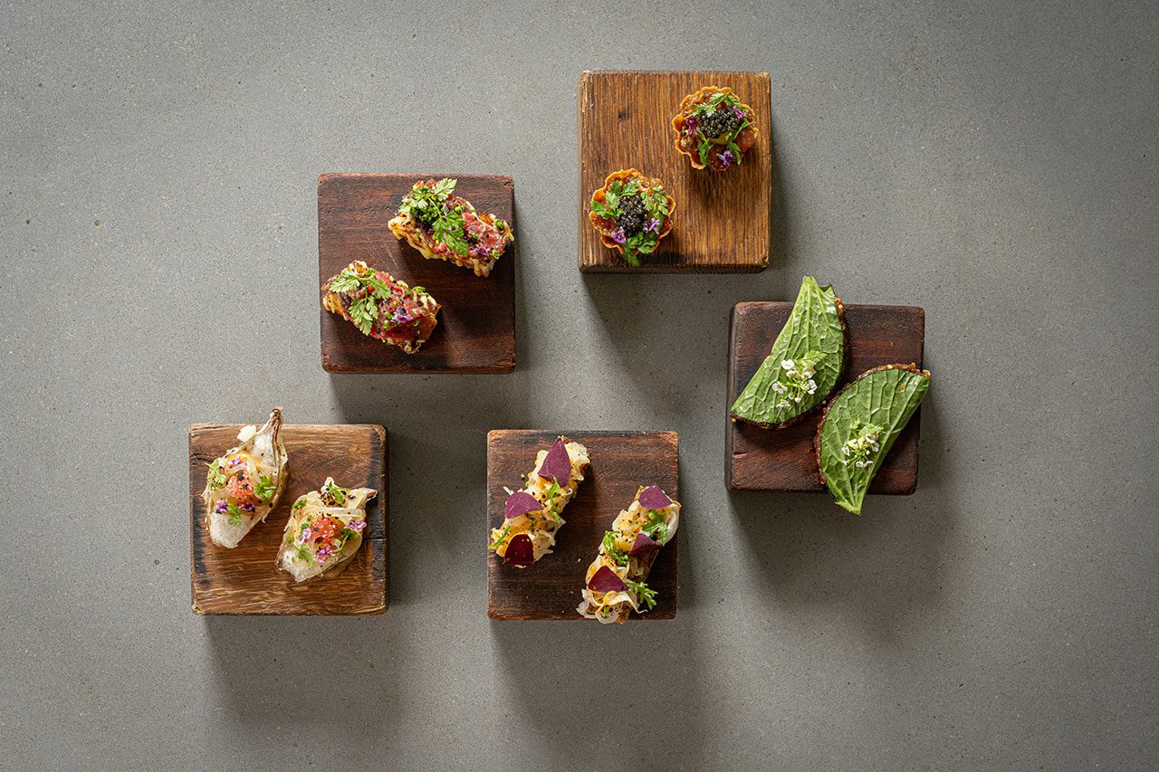 משיה. צילומים: אסף קרלה