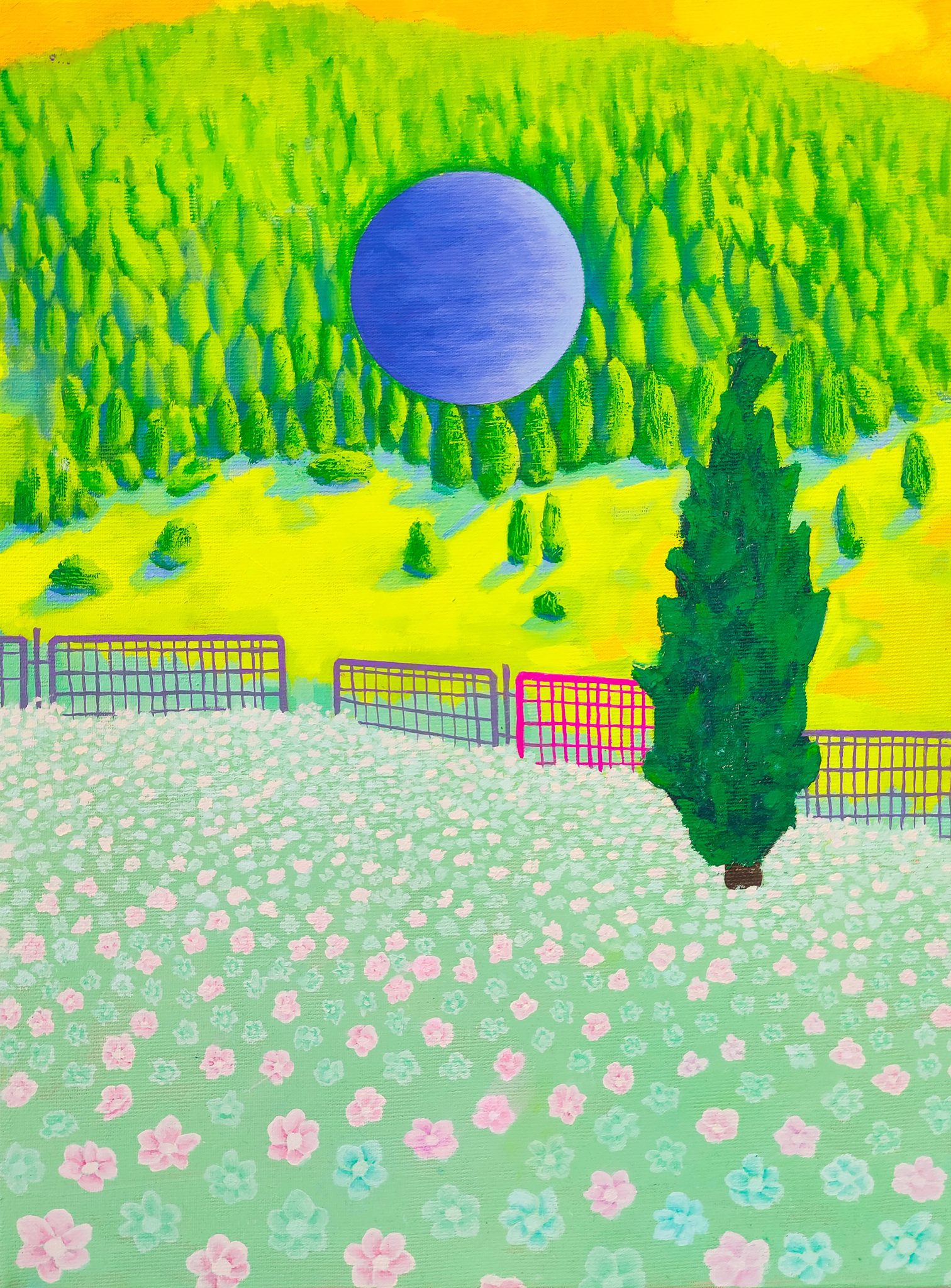 שרה ארסניוק