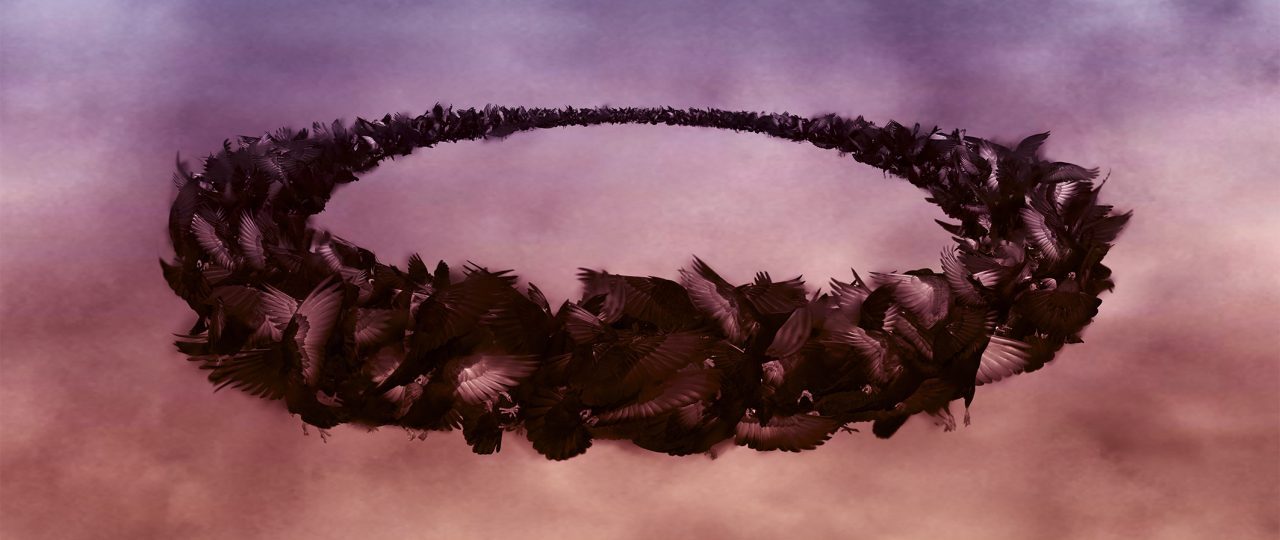 אריאל הכהן, יום, לילה ויום