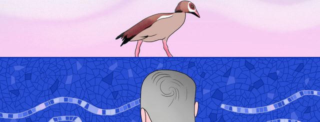 נעה כ״ץ, כמה זה חמור