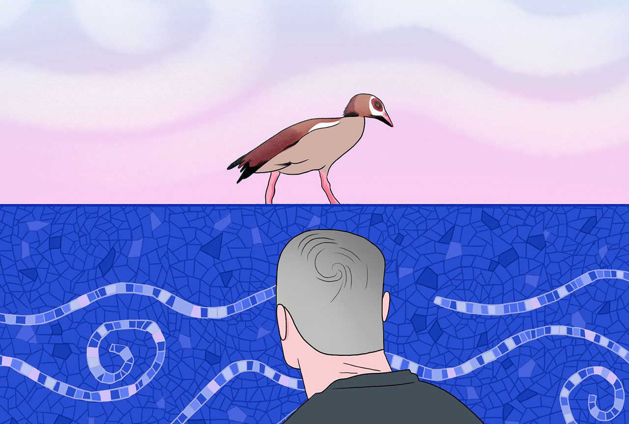 נעה כ״ץ, כמה זה חמור