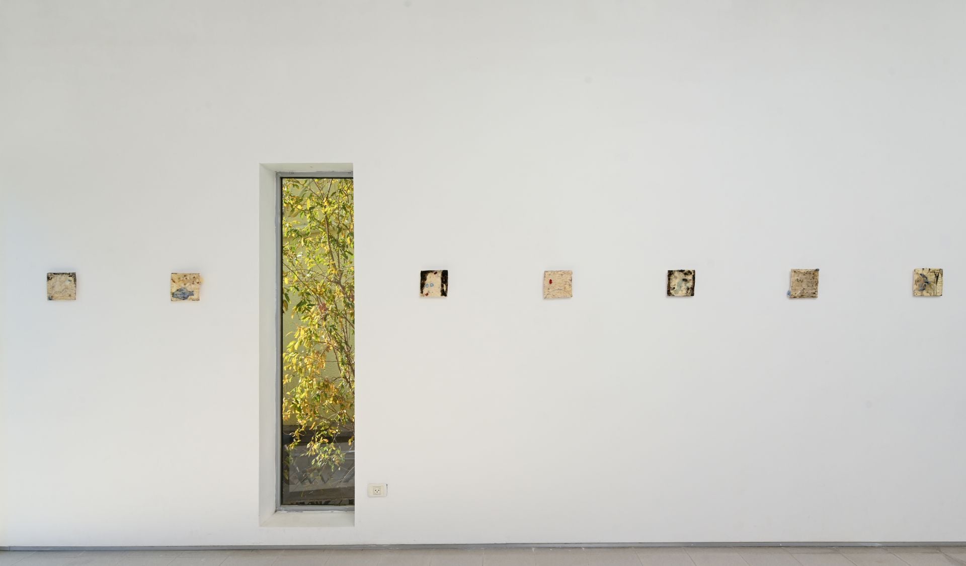 אודי צ׳רקה, שמורה