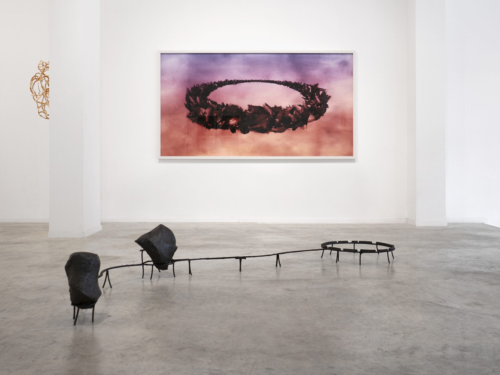 בשורות, גלריה בצלאל לאמנות עכשווית. צילומים: ברק רובין