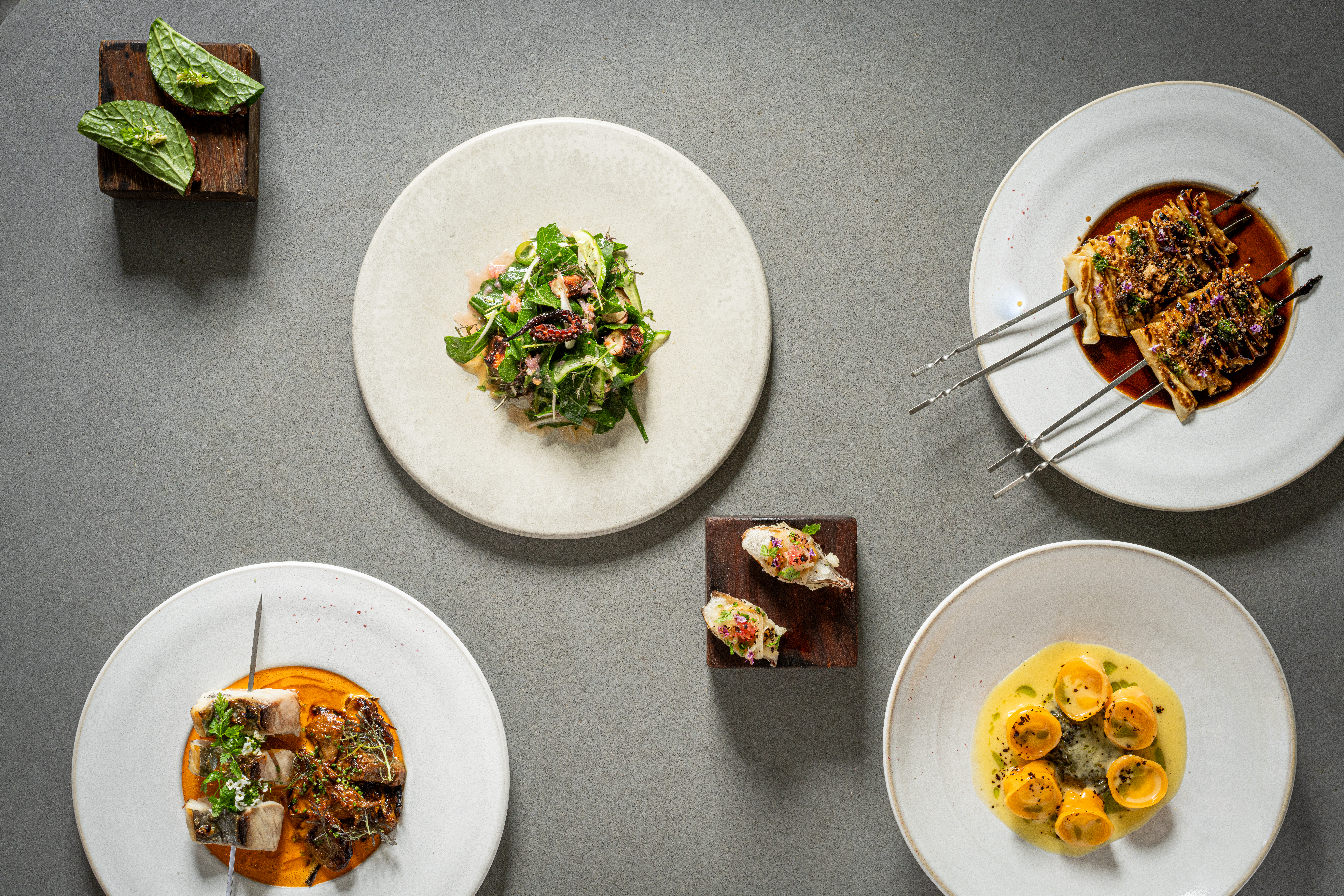 משיה. צילומים: אסף קרלה