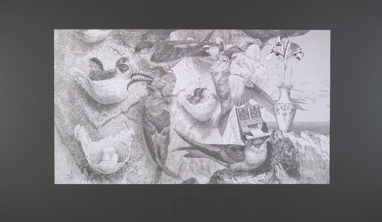 בתערוכה ״חלומות צלולים״ צילום זוהר שמש