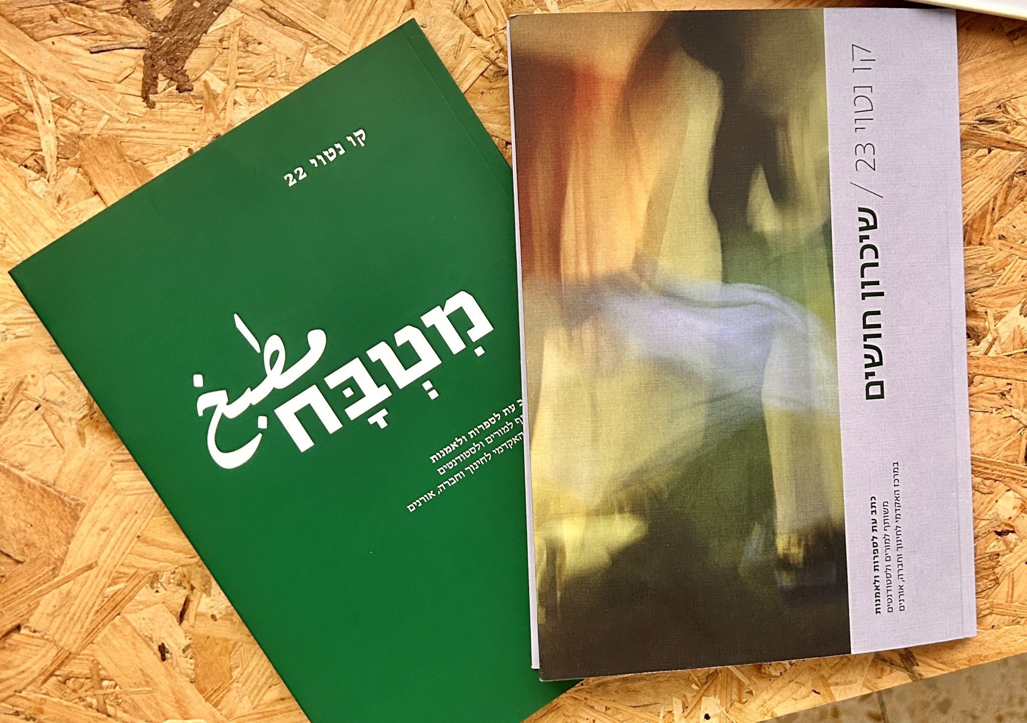 קו נטוי. צילום: מרינה פוזנר