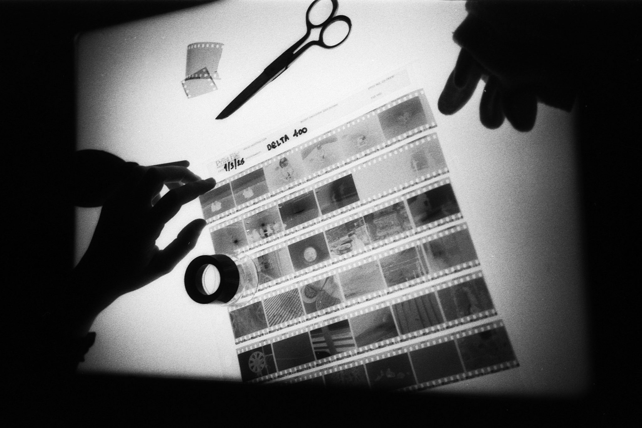 צילום: עידן וינברן