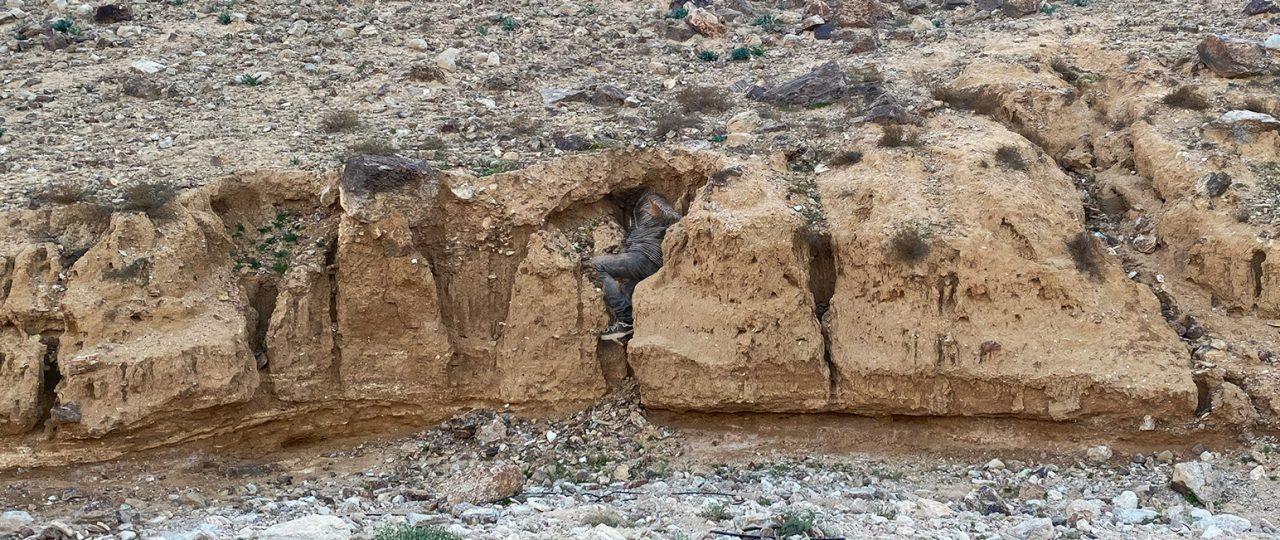 נדב עשור, פרט מתוך ״קינה״