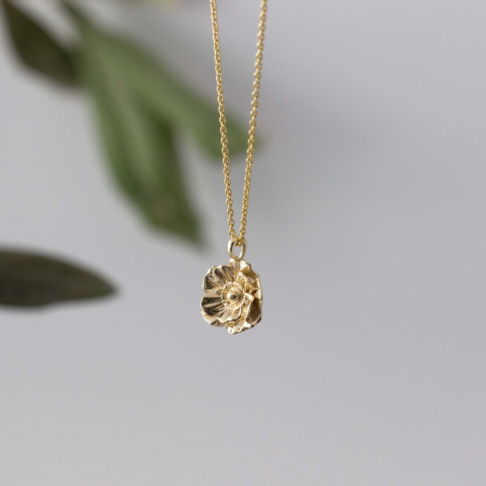 אתי שלמה. צילום: טל ברושל