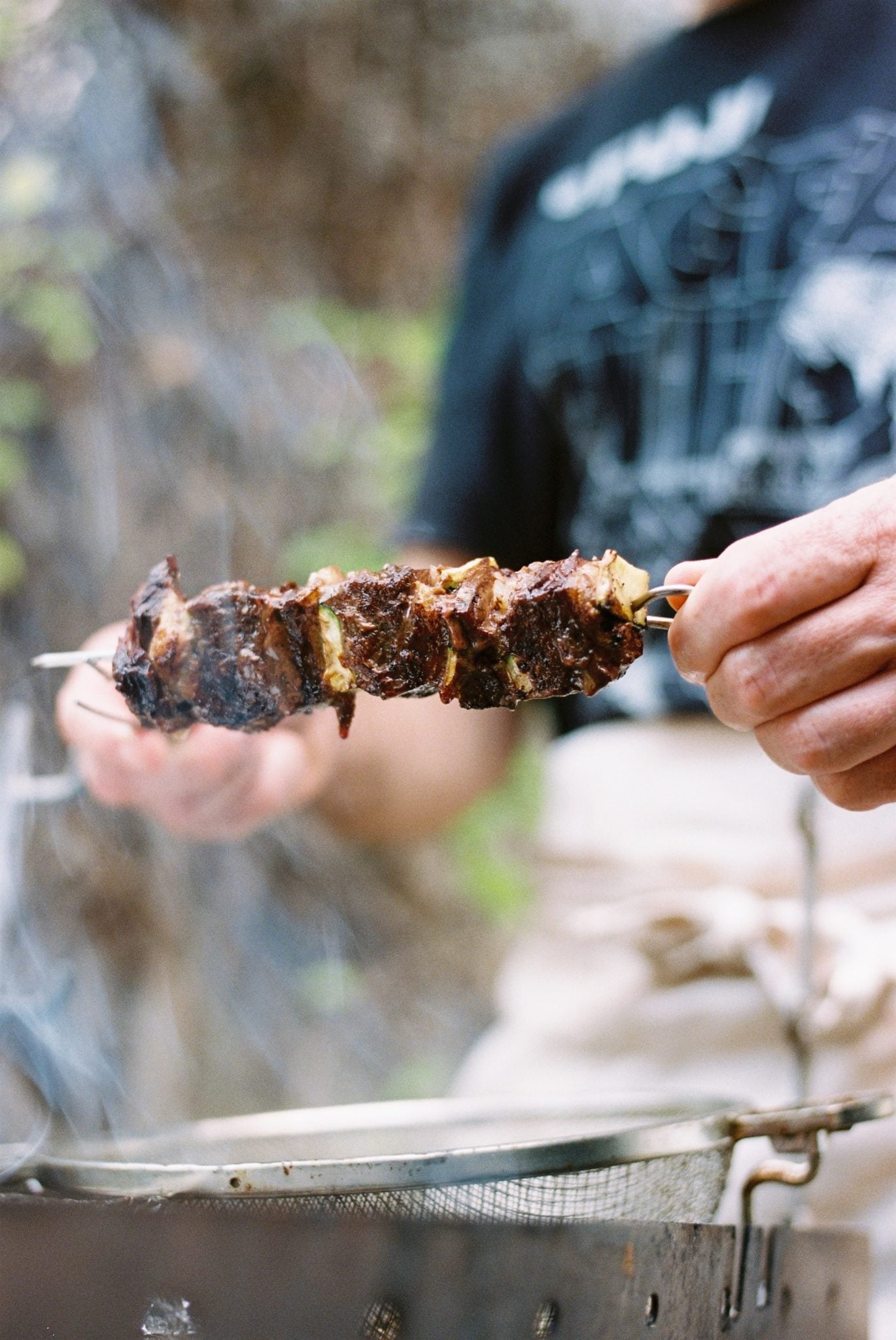 ברבור. צילום: סי פיש