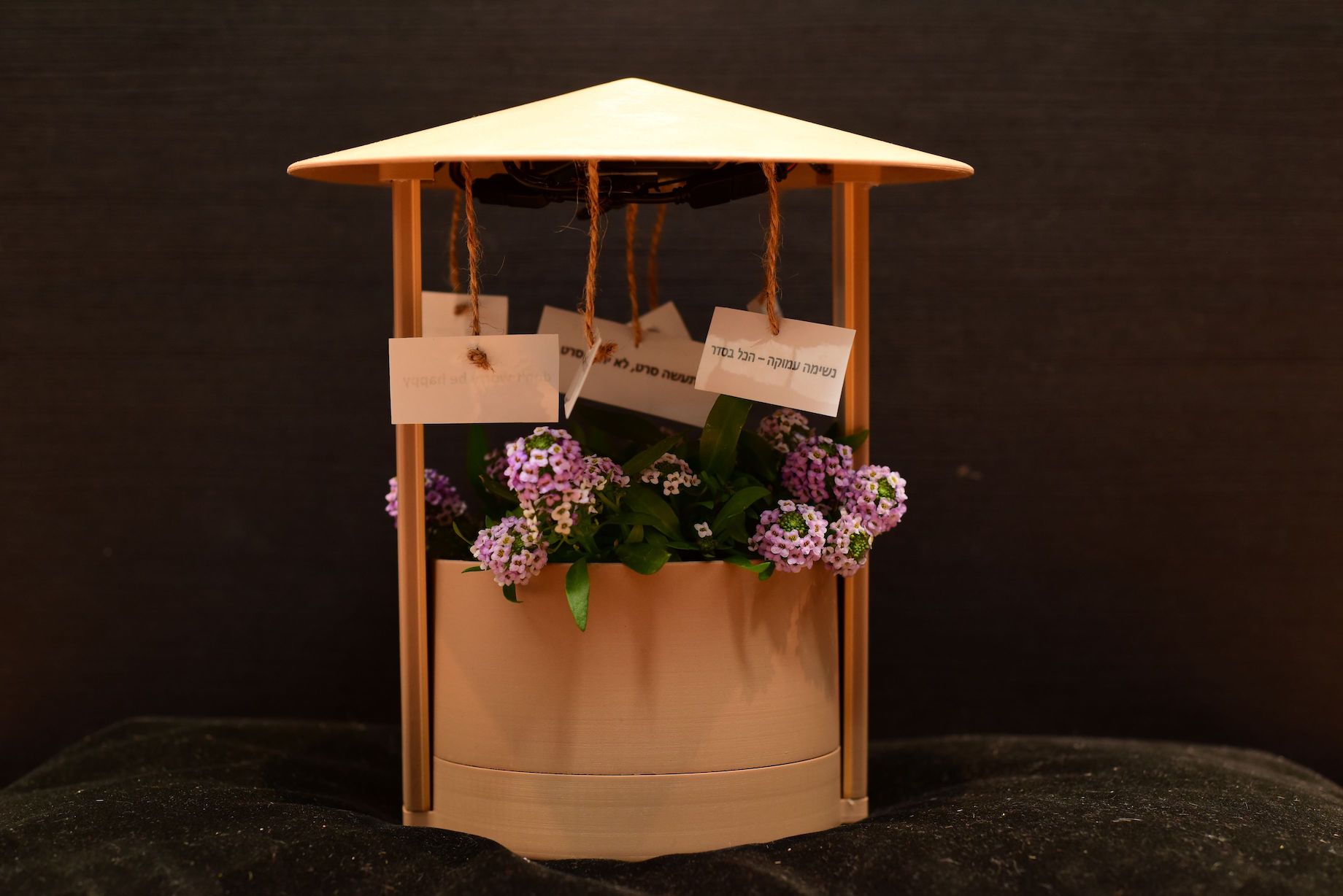 פרויקט קמע. צילומים: יניב וינמן