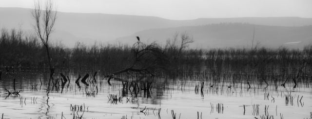 דני נגר במוזיאון ארץ ישראל. צילומים: מ״ל