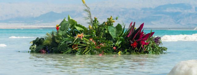 פאטמה שנאן בארטפורט. צילום: יאיר מיוחס