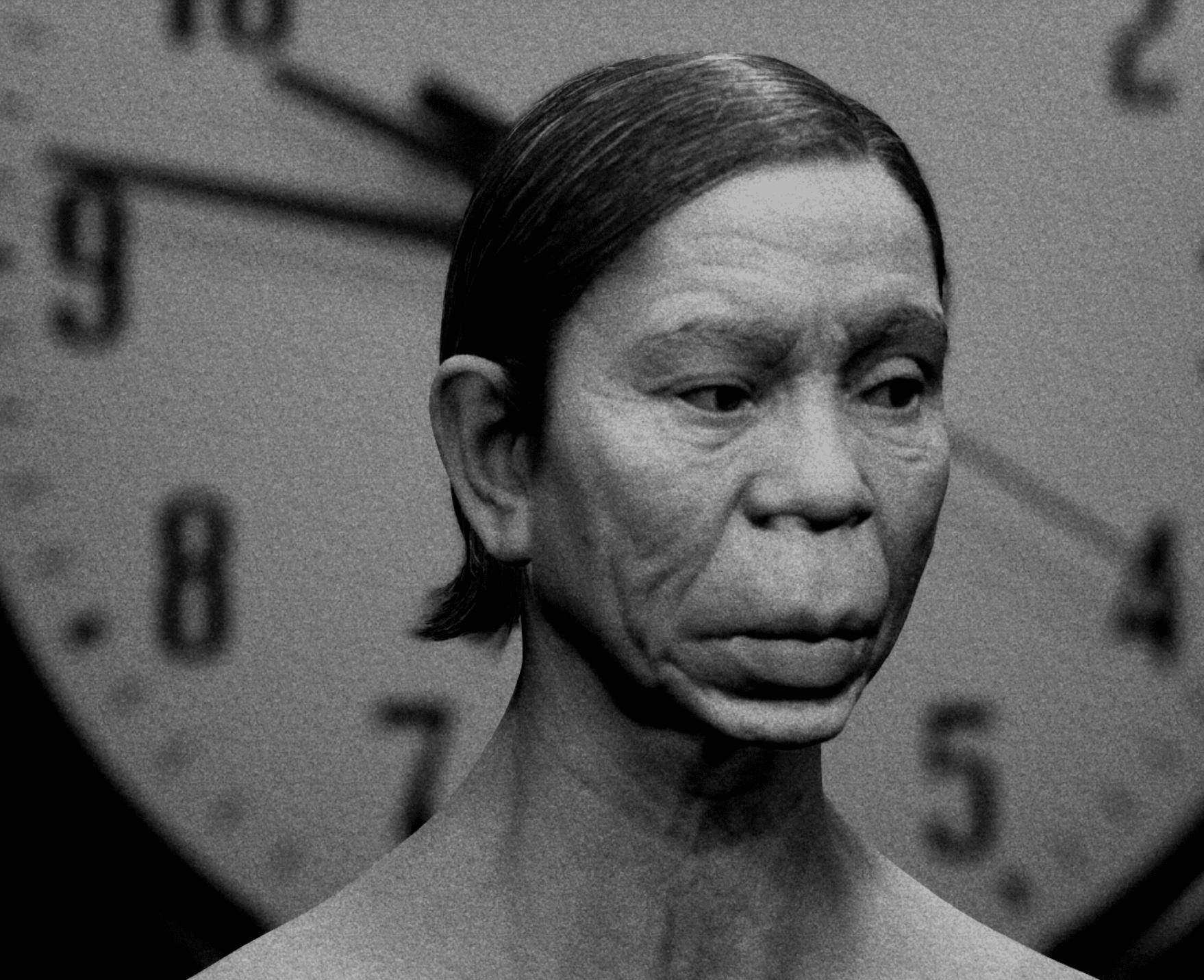 אמיר יציב, מתוך PETER IS BACK, מופע מכונה