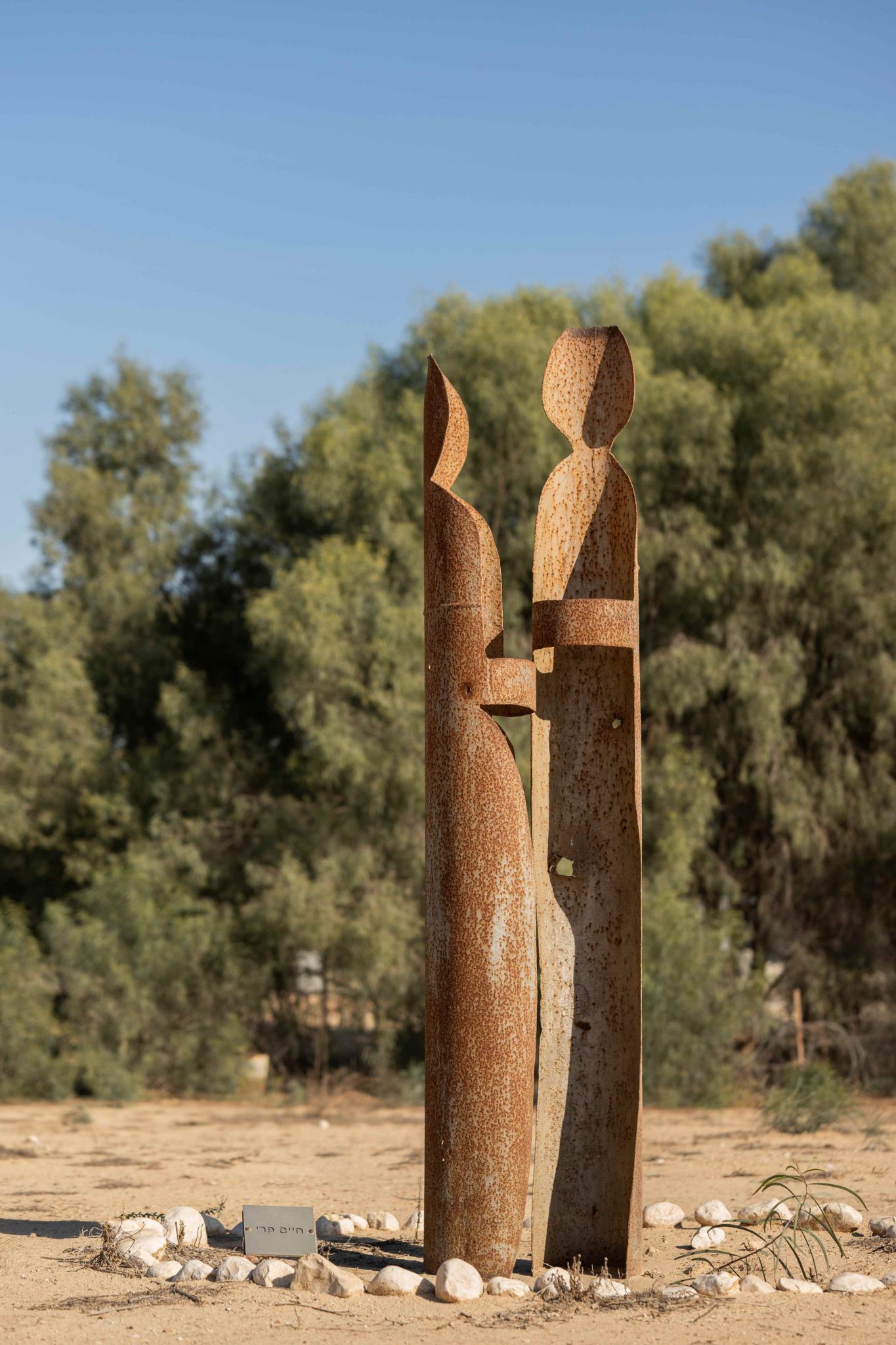 חיים פרי. צילום: שרון דרעי