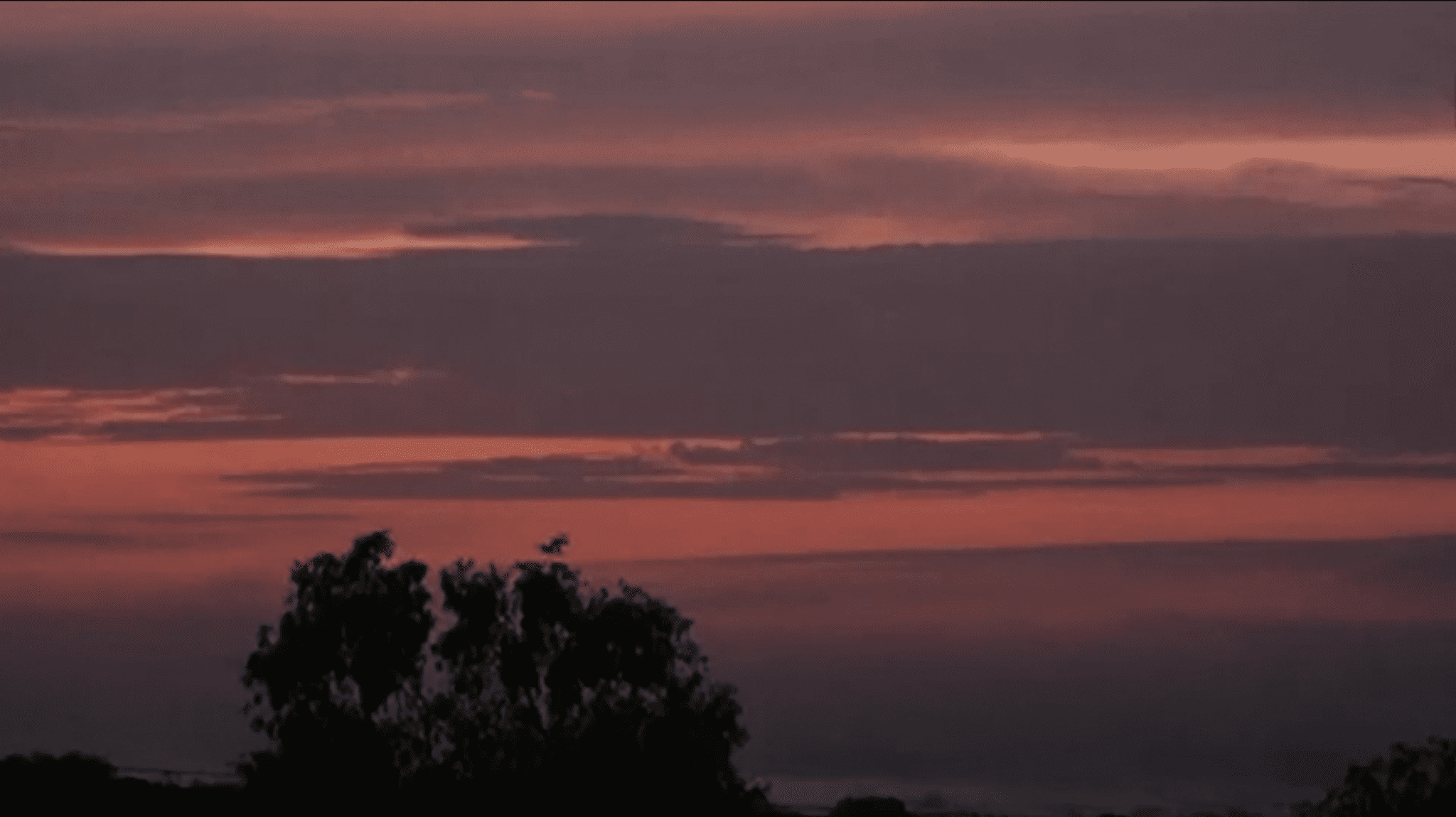 מתוך ״רוכב ערבות״