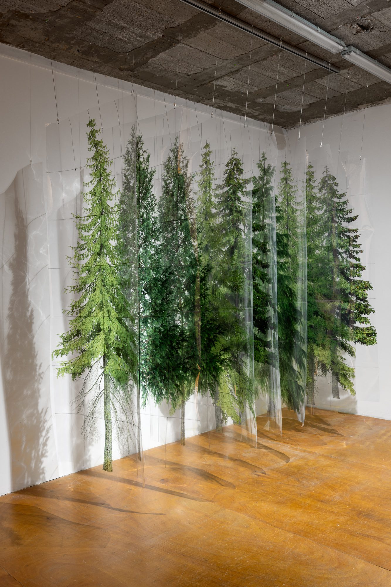 צילום: טל ניסים