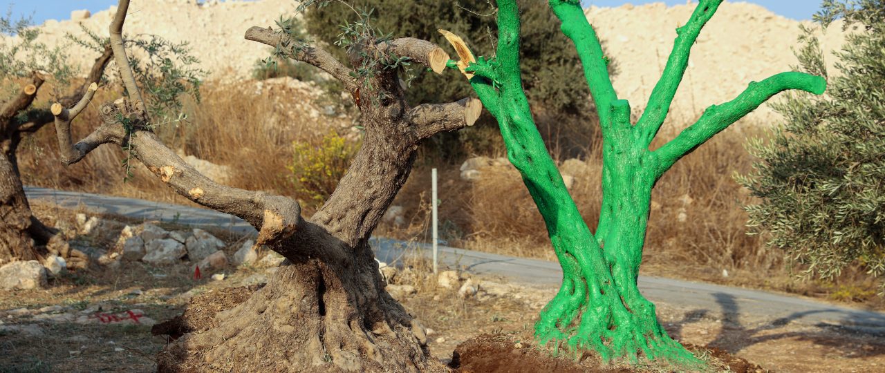 רונן זן בביאנלה האוטונומית לאמנות בגימנסיה הרצליה