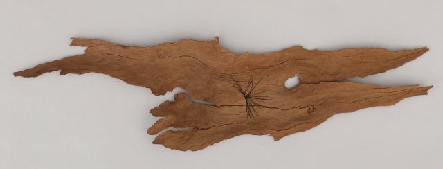 חן אשכנזי, הדפס על קליפת אקליפטוס. צילום: מ״ל