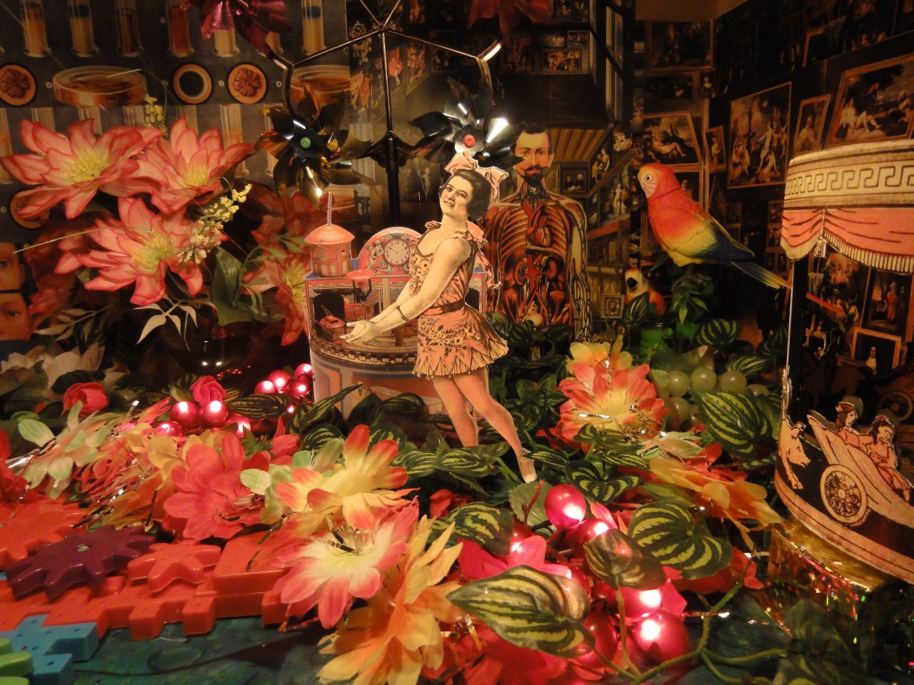 דינה גולדשטיין, צילומים: מיכאל שבדרון