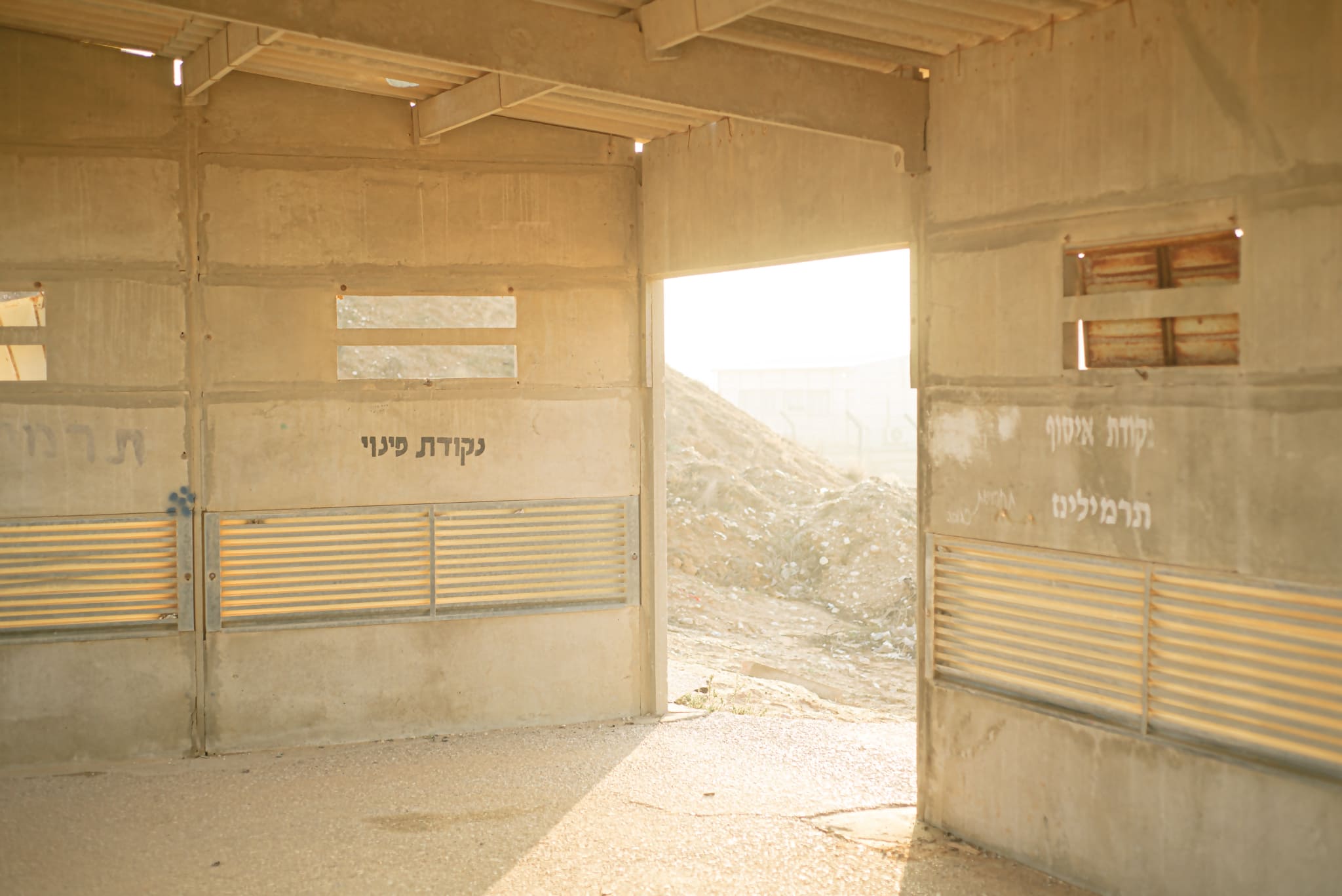 דור קדמי בגלריה החדשה בטדי. צילום: מ״ל