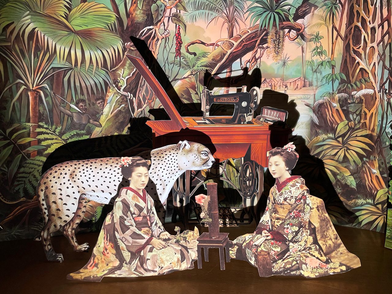 דינה גולדשטיין, צילומים: מיכאל שבדרון