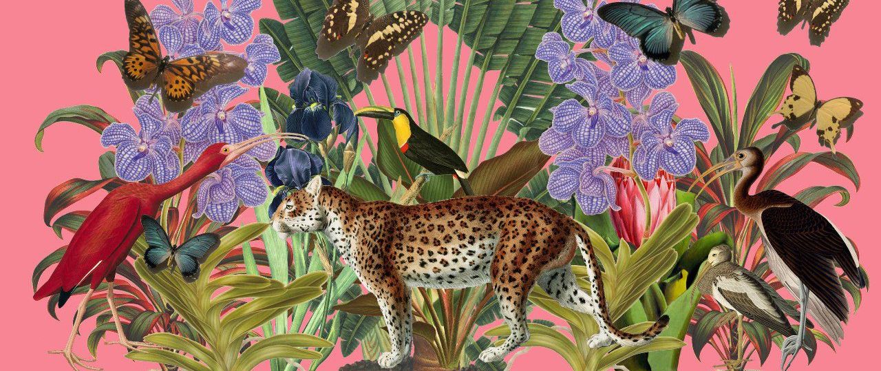 דינה גולדשטיין, צילומים: מיכאל שבדרון