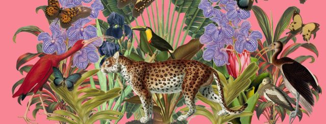 דינה גולדשטיין, צילומים: מיכאל שבדרון