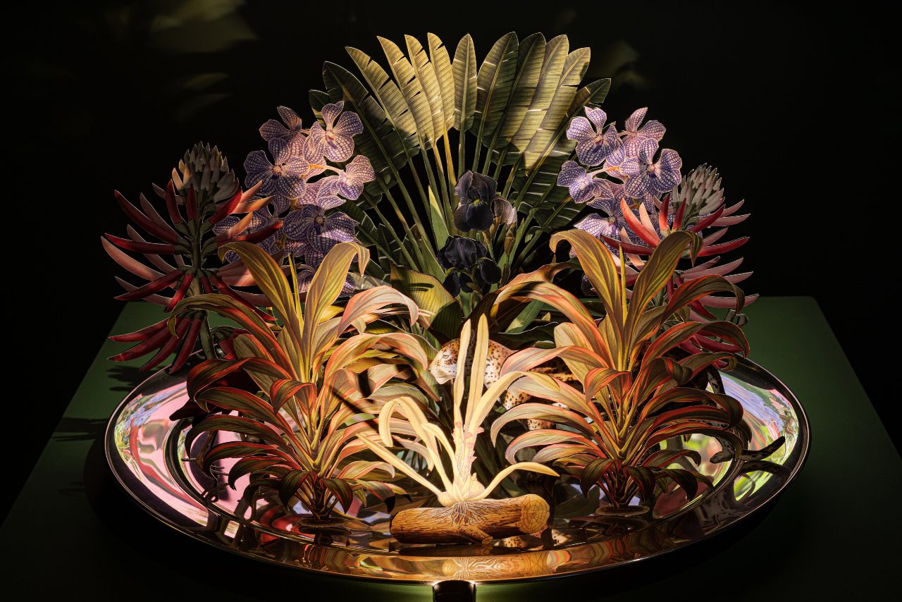 דינה גולדשטיין, צילומים: מיכאל שבדרון