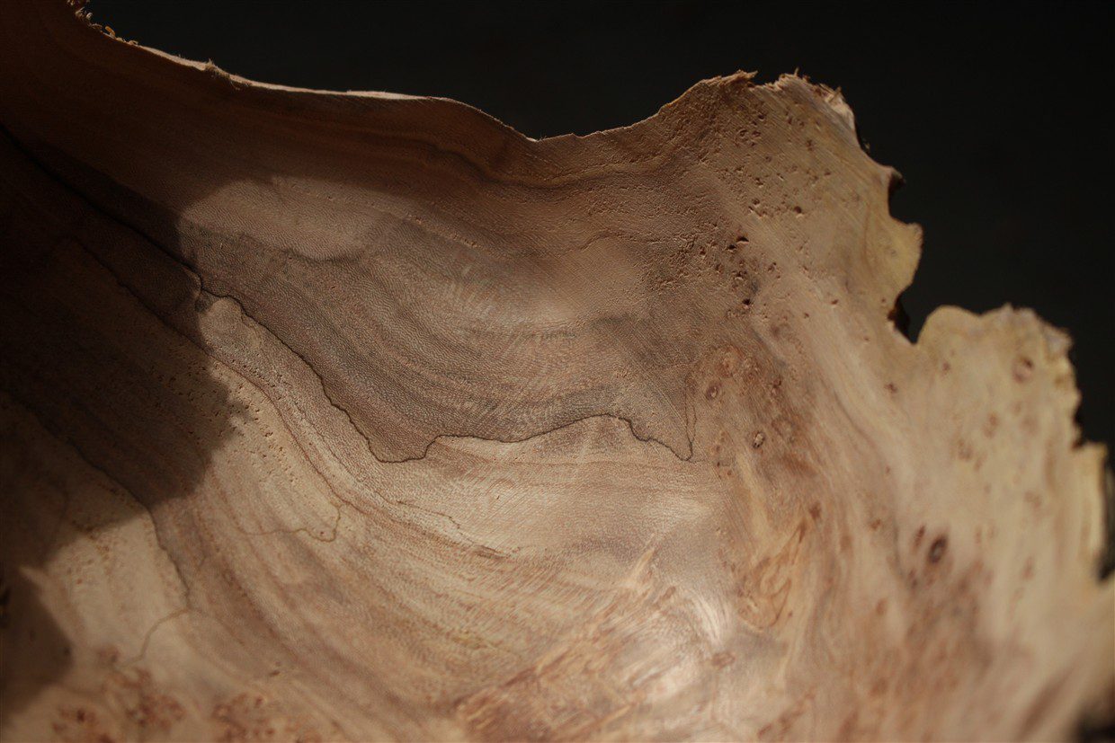 יובל בוכשטב. צילומים: מ״ל