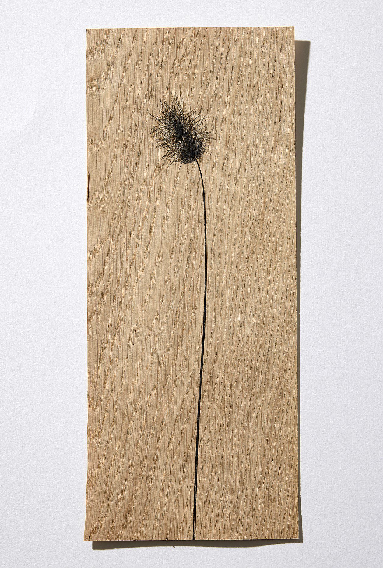 חן אשכנזי. צילומים: אפיק גבאי