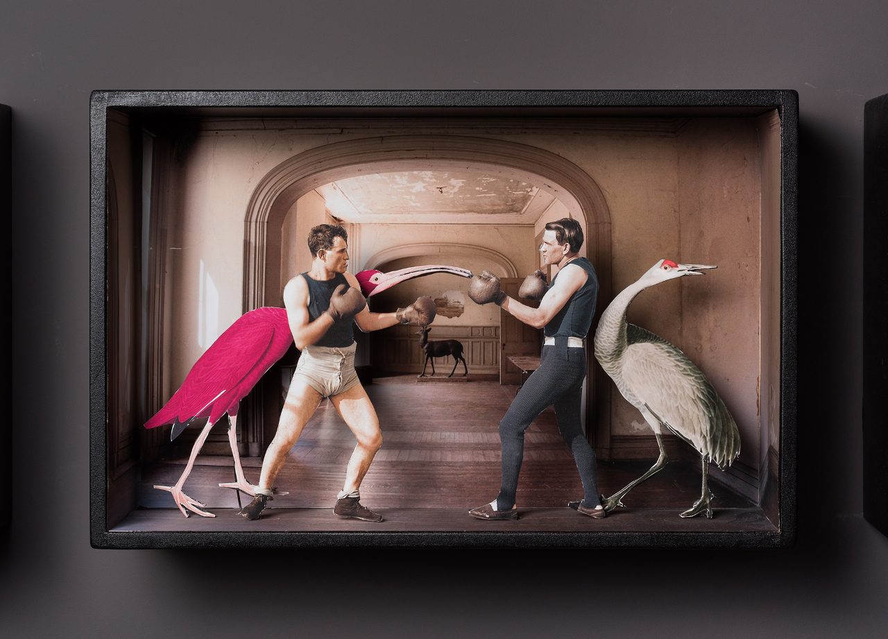 דינה גולדשטיין, צילומים: יובל חי