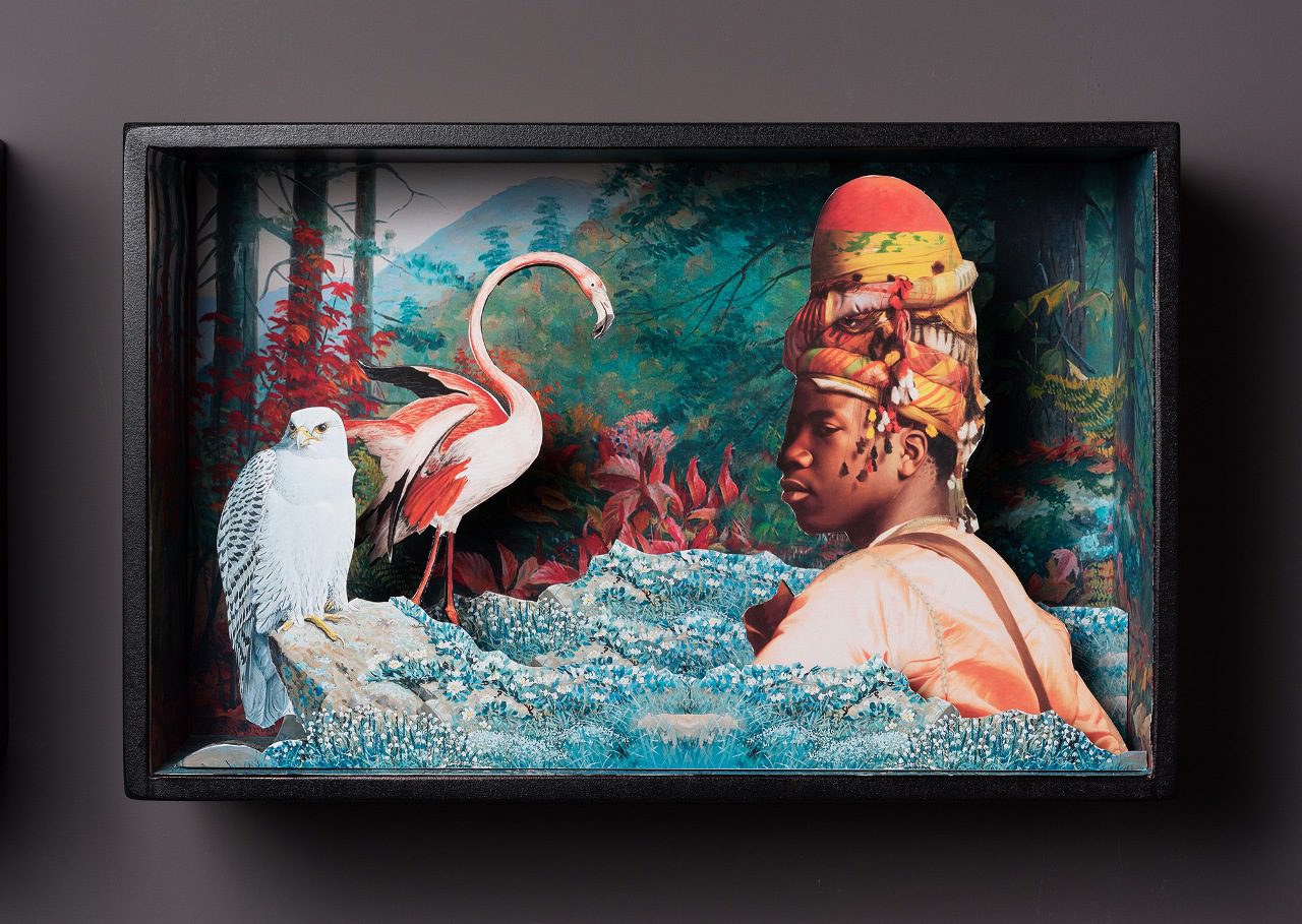 דינה גולדשטיין, צילומים: יובל חי