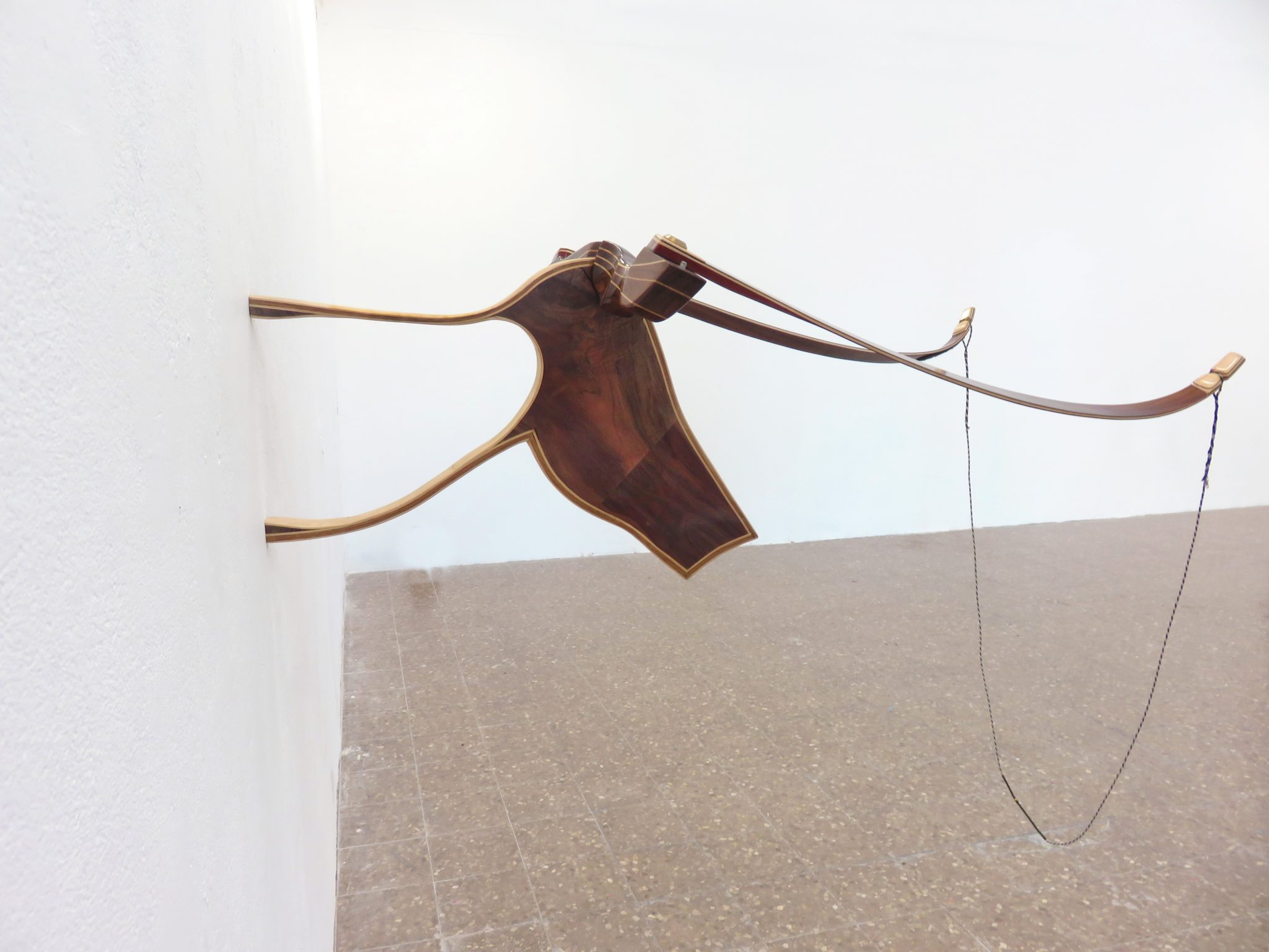 ראש פרה. צילומים: מ״ל