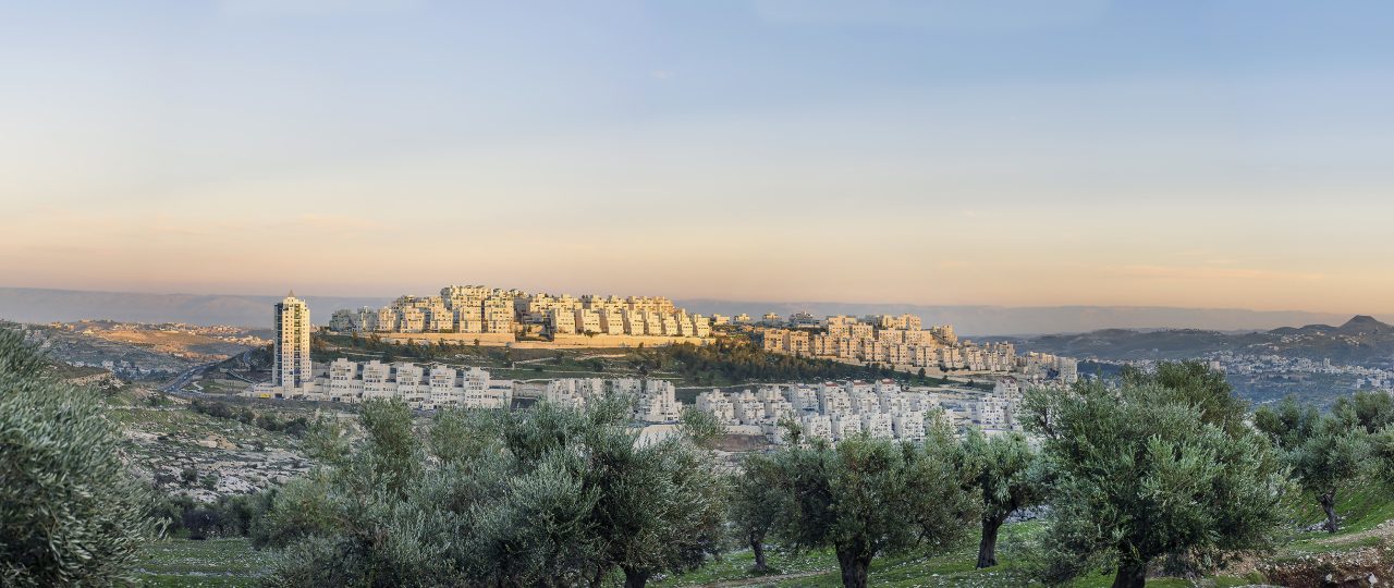 שלמה סרי בגלריה החדשה בטדי. צילום: מ״ל