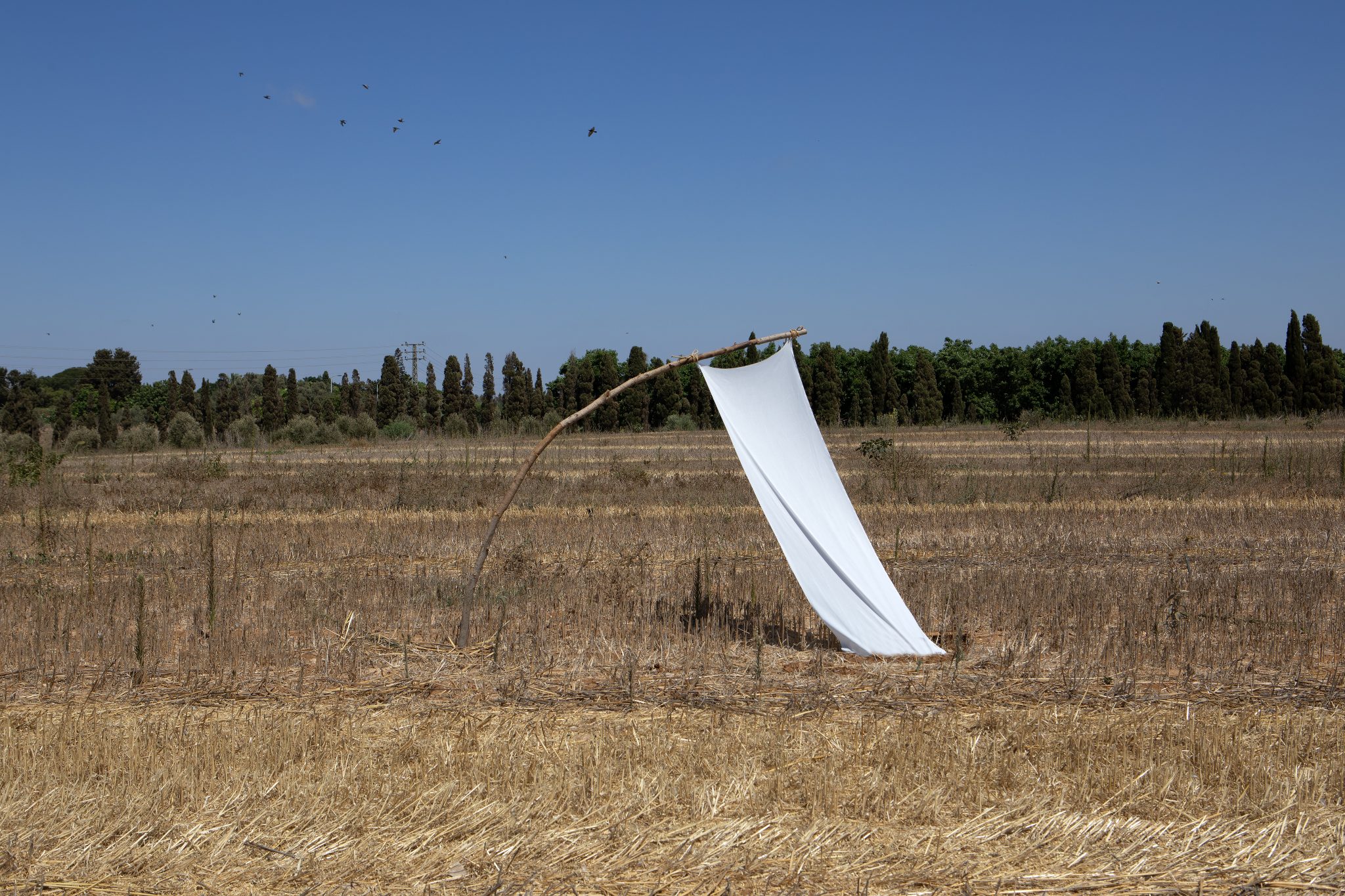 The Land Claims All Flags. צילום: דור אבן חן