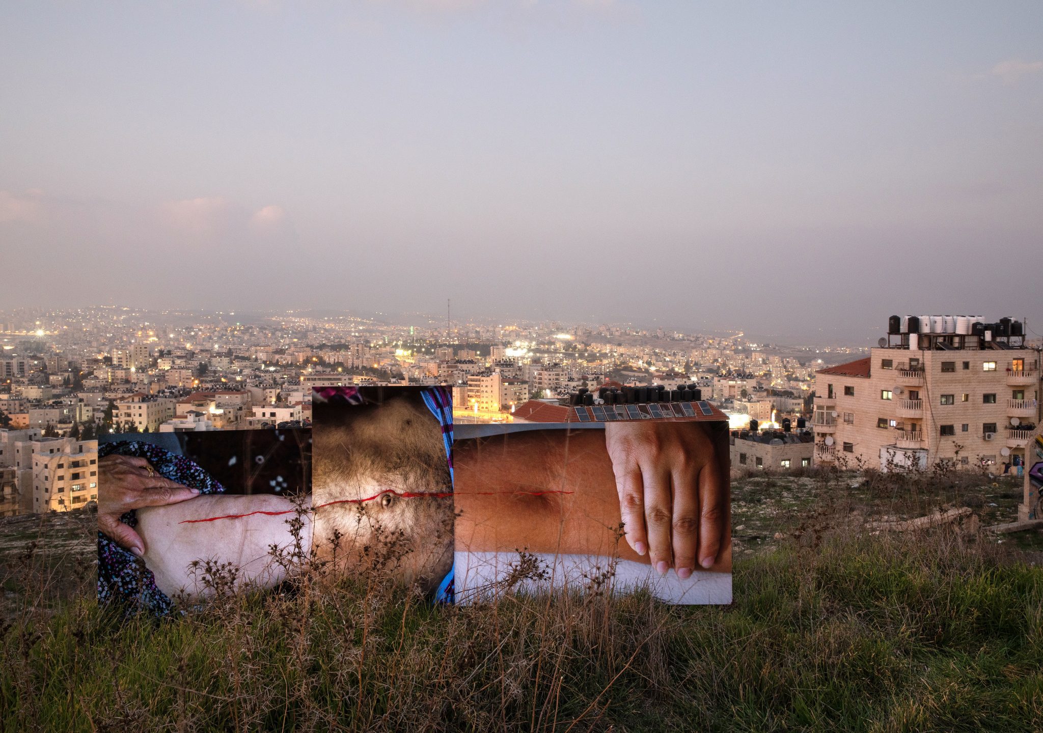 If We Were To Line Up Our Scars. צילום: דור אבן חן