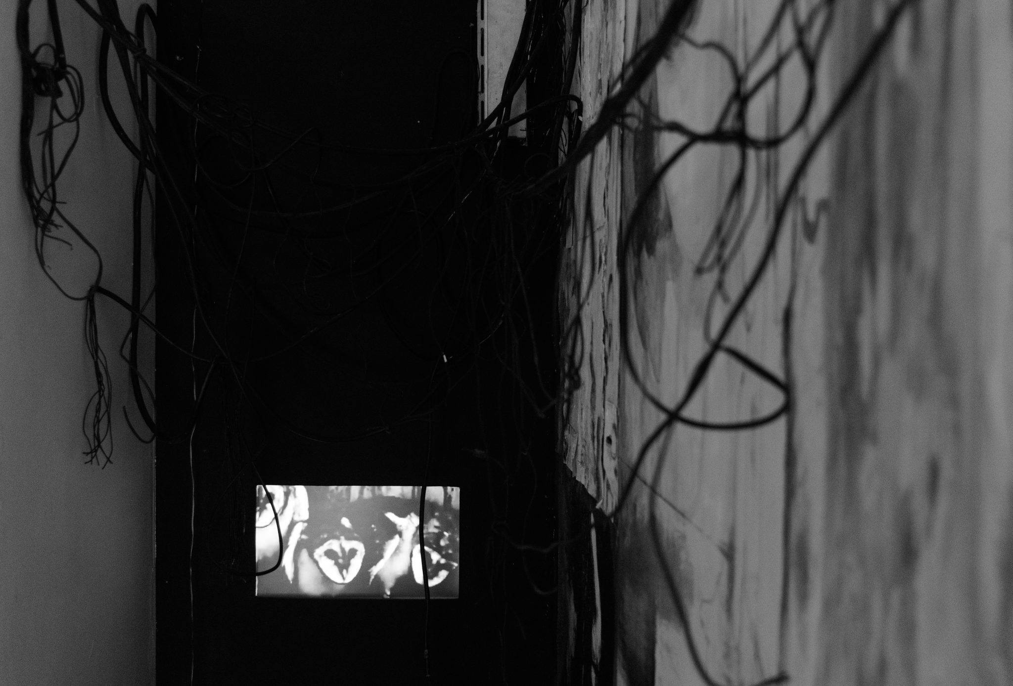 הדר ראובן, מראה – עין. צילומים: אדוארדו אספיצ׳ן גונזלס