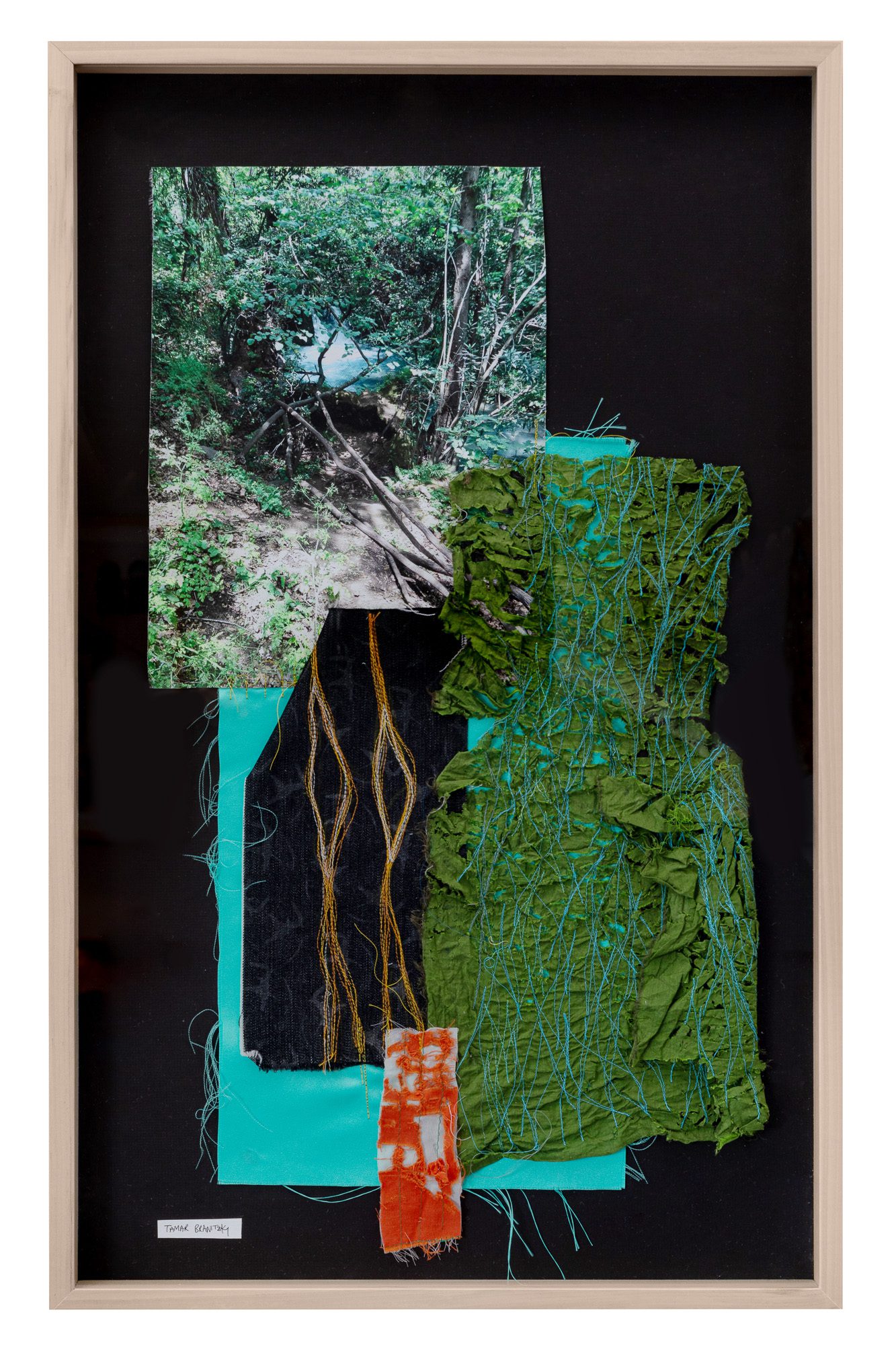 תמר ברניצקי, האור של העור